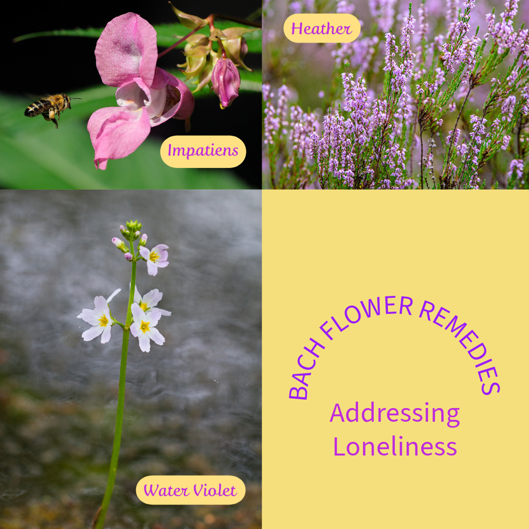Bach Flower Remedies