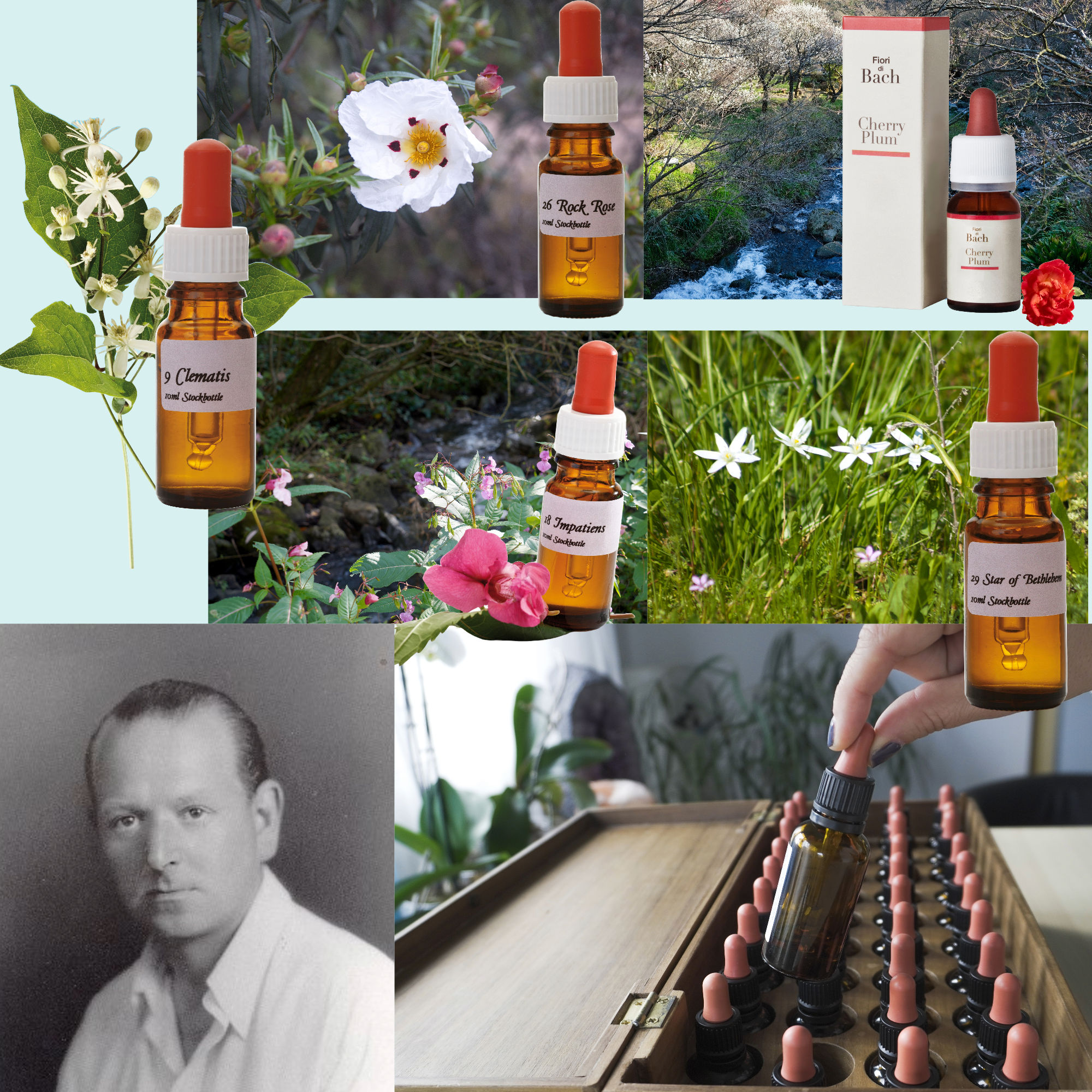 Bach Flower Remedies
