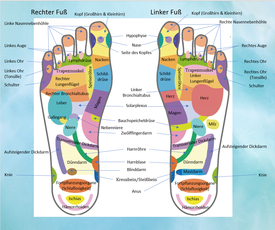 Fu�reflexzonen-Diagramm