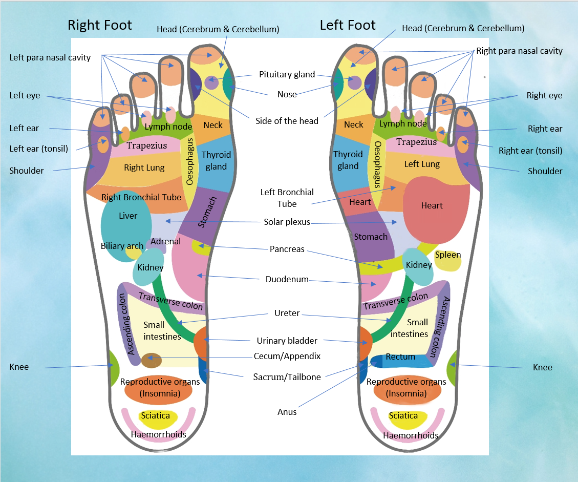 Foot chart