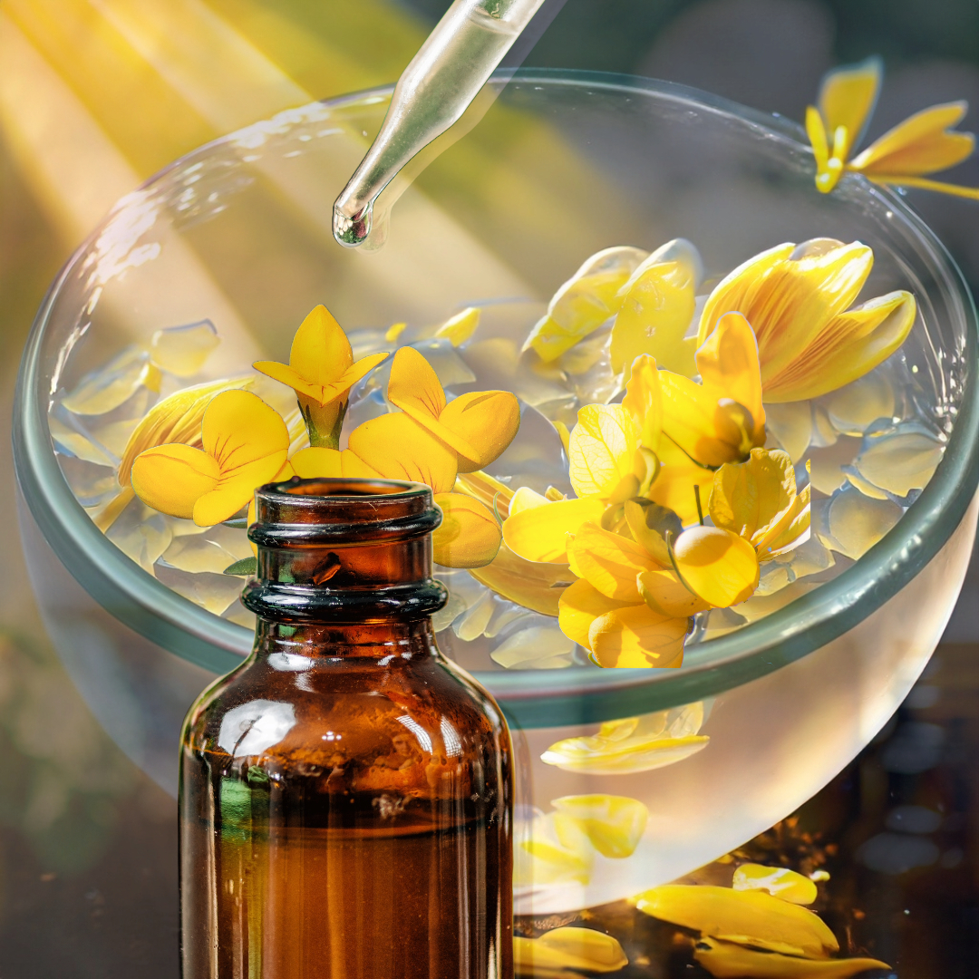 Creating Gorse Remedy using the sunlight method